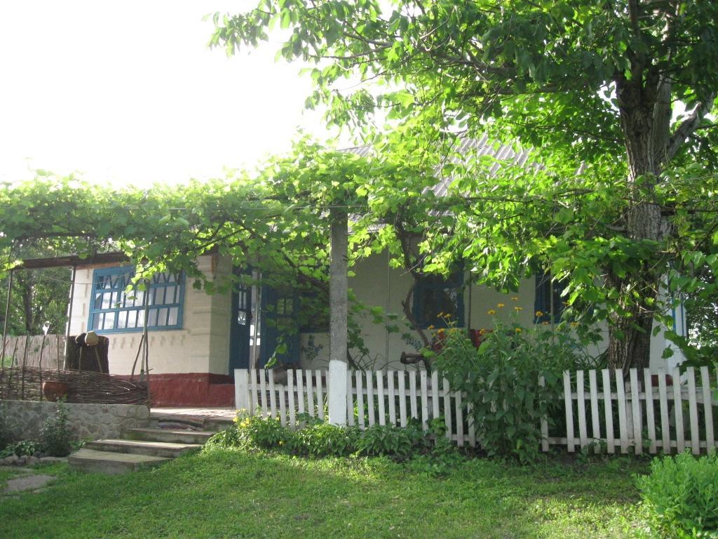 Kалиновий Kущ Dmitrenki Exterior foto
